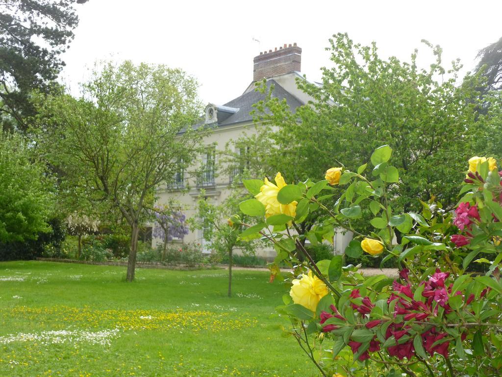 Bed and Breakfast Cèdre et Charme Saint-Branchs Esterno foto